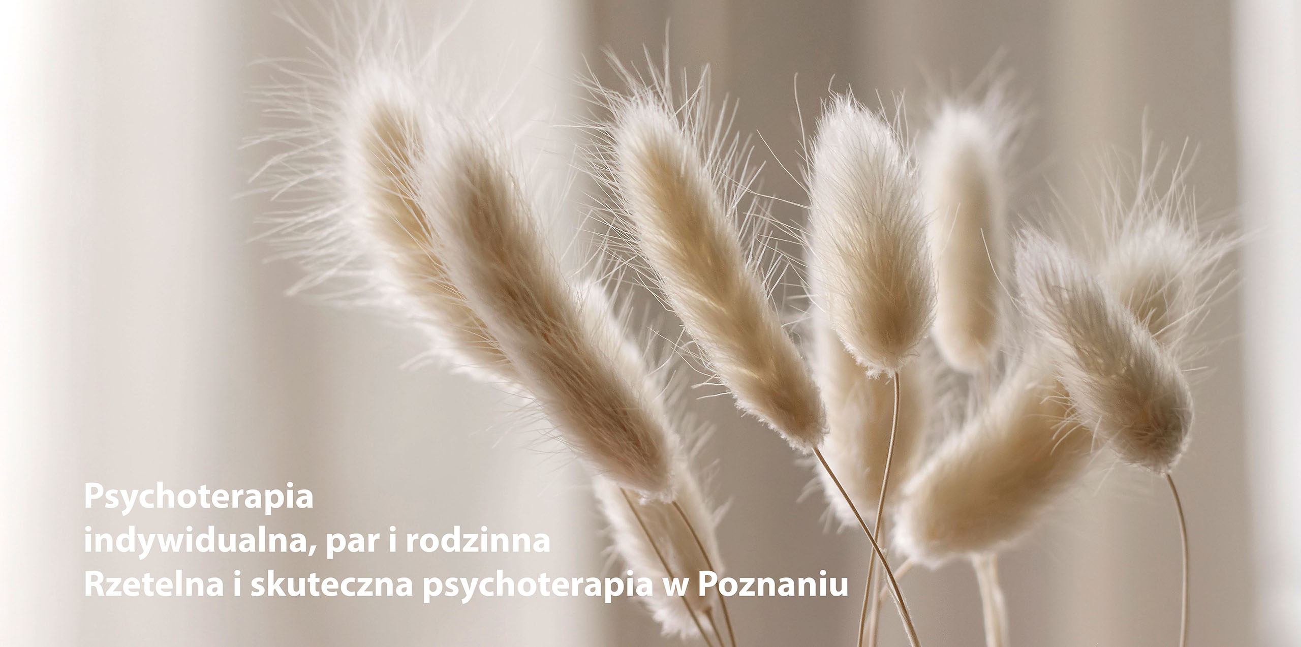 psychoterapia indywidualna