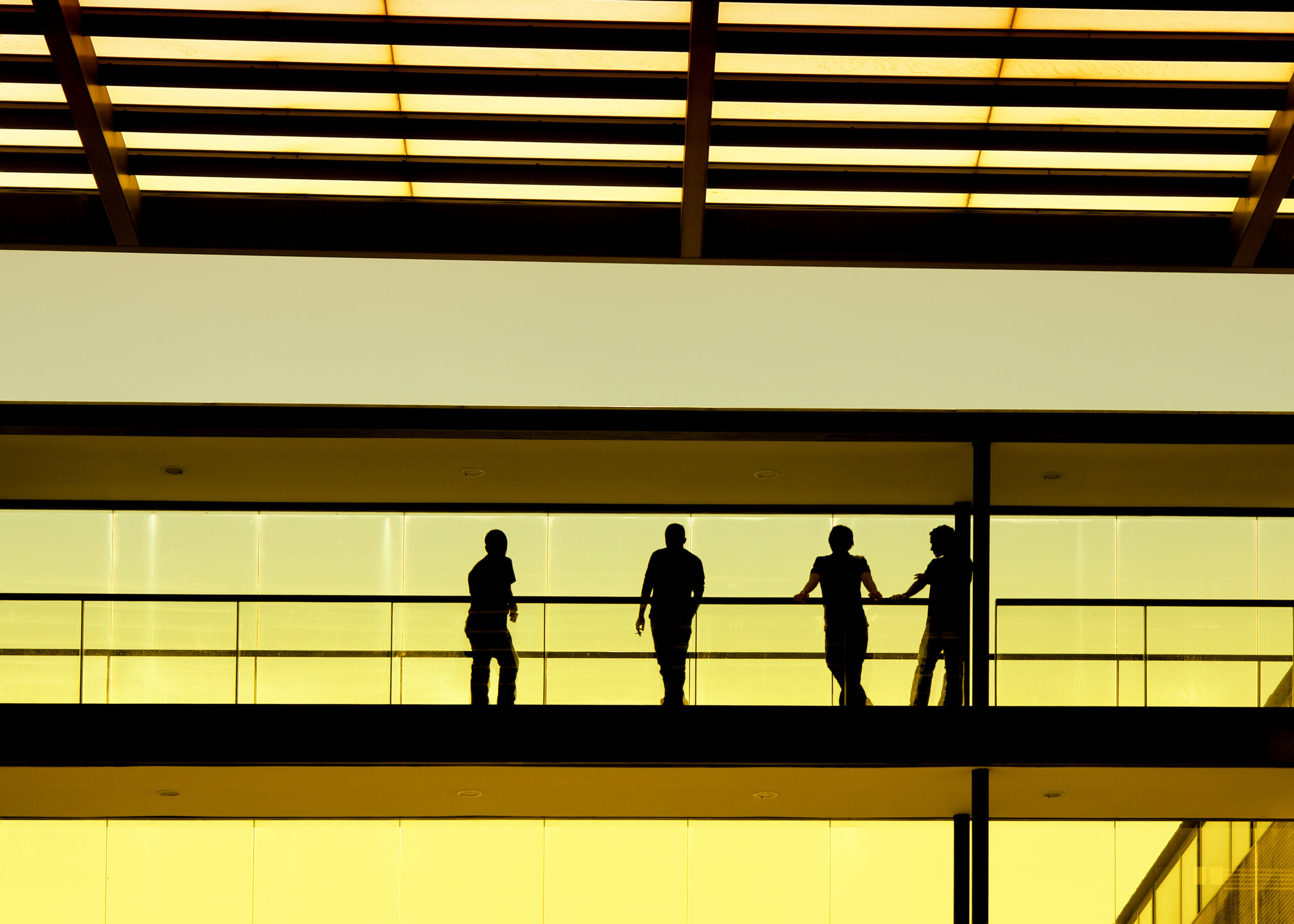 BP BanerwwwV2 scaled