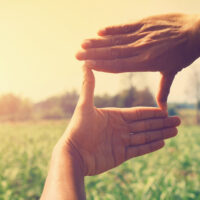 shutterstock 1039439521