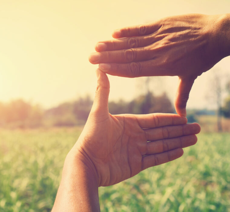 shutterstock 1039439521