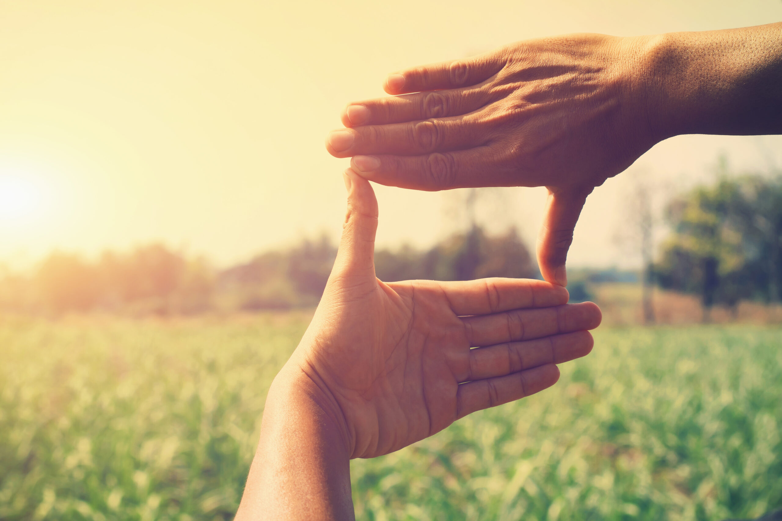 shutterstock 1039439521 scaled