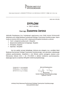 Zespół 9 Dyplom kurs PIE