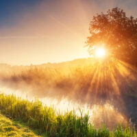 shutterstock 218733994