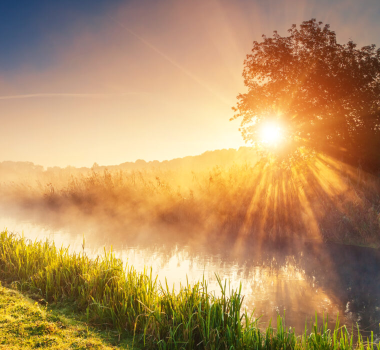 shutterstock 218733994